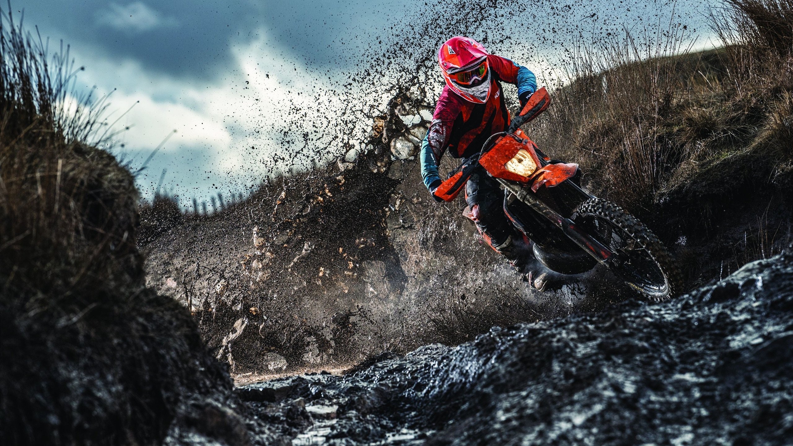 -凯特·道格拉斯决赛亮点频现，凯蒂·道格拉斯多高