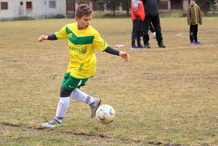 九游网页版官网入口-中国球迷文化正在发生什么变化，球迷文化什么意思